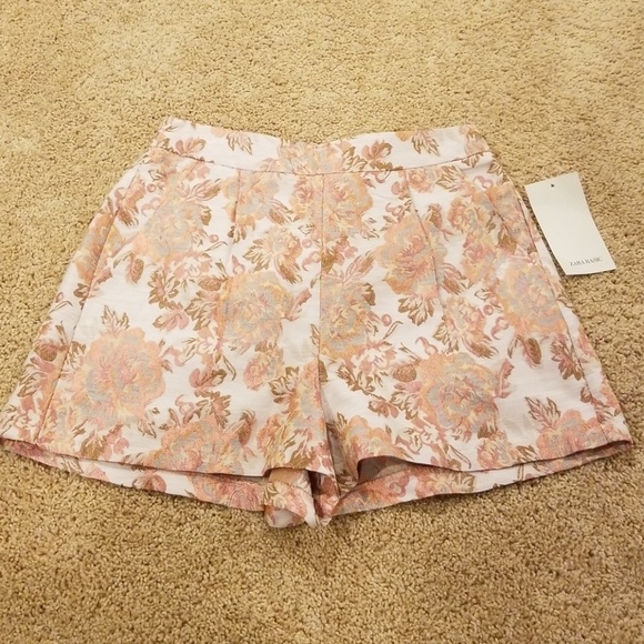 Zara Pants - Brand New! Zara Basic Size XS Printed Shorts